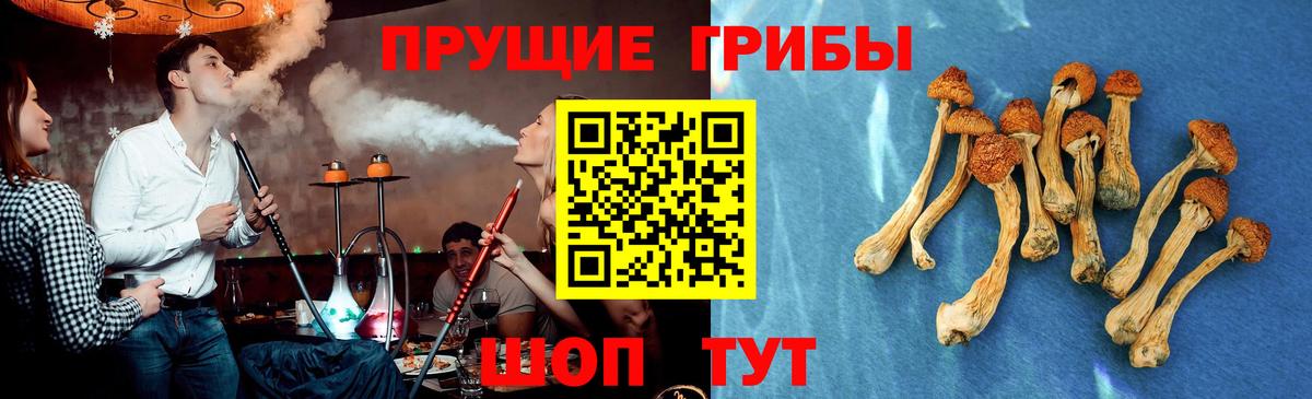 Галлюциногенные грибы мицелий  Вход с VPN  Ижевск 